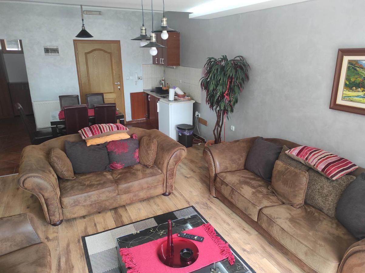 Apartments Vila Knez Zlatibor Zewnętrze zdjęcie