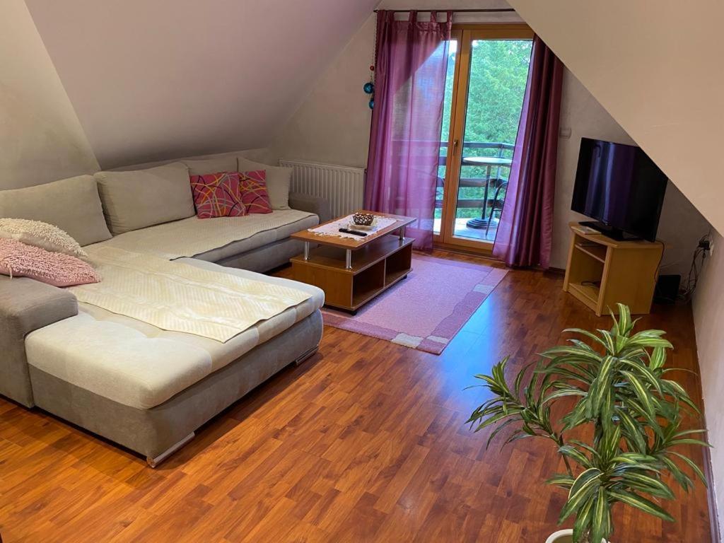 Apartments Vila Knez Zlatibor Pokój zdjęcie